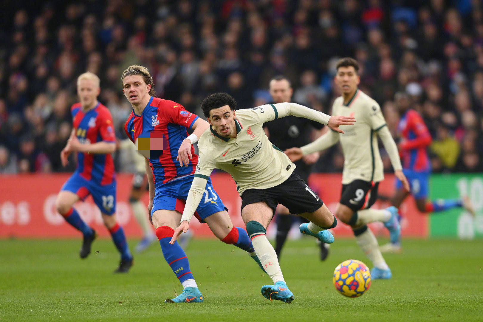 直处于行业 直处于行业